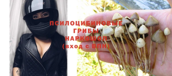 каннабис Баксан