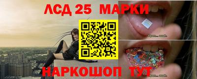гидра Будённовск