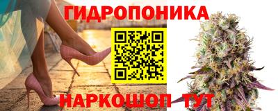 ECSTASY Волгодонск