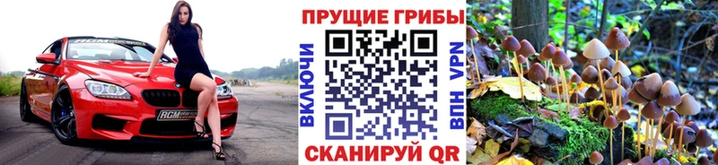 Галлюциногенные грибы Cubensis  Гусев 