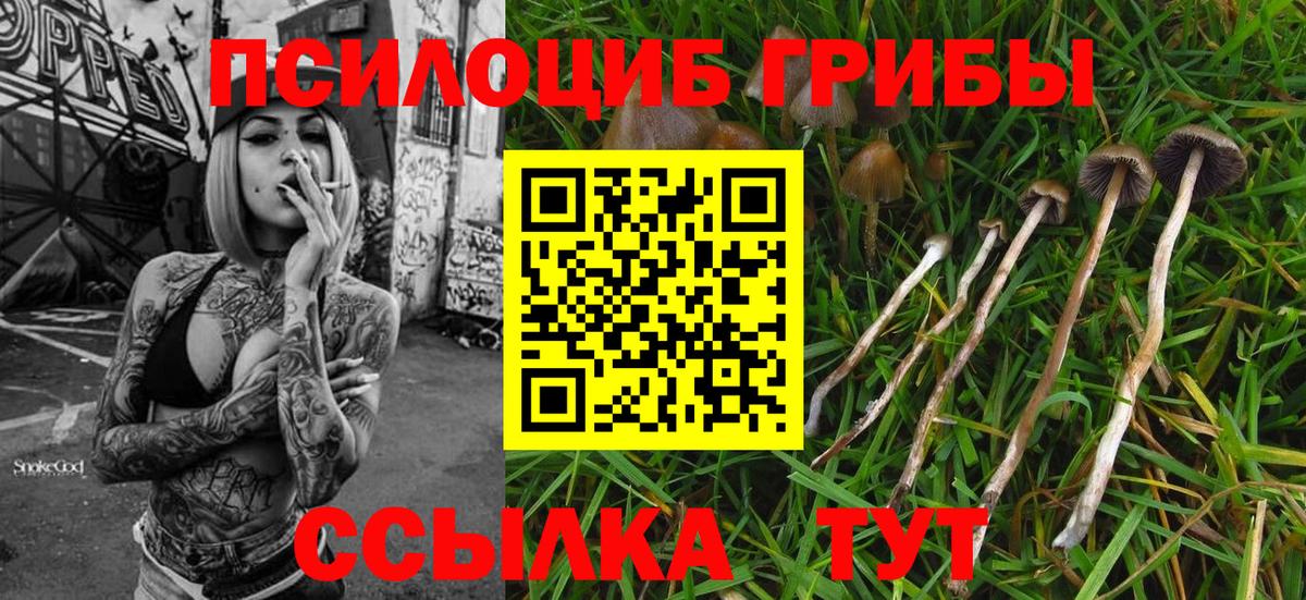 Галлюциногенные грибы прущие грибы  где можно купить наркотик  Вход с VPN  Гусев  Галлюциногенные грибы GOLDEN TEACHER 