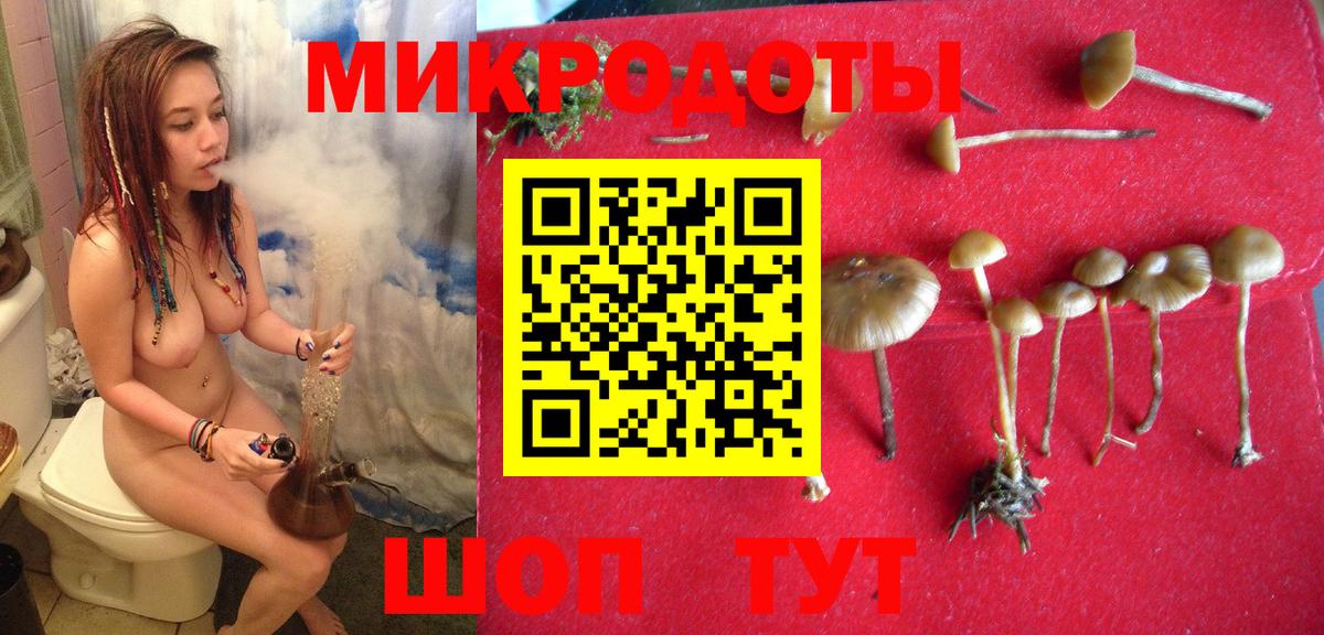 Псилоцибиновые грибы мухоморы Гусев