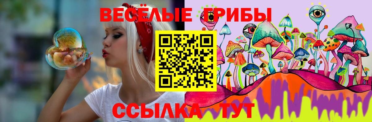 Галлюциногенные грибы MAGIC MUSHROOMS Гусев