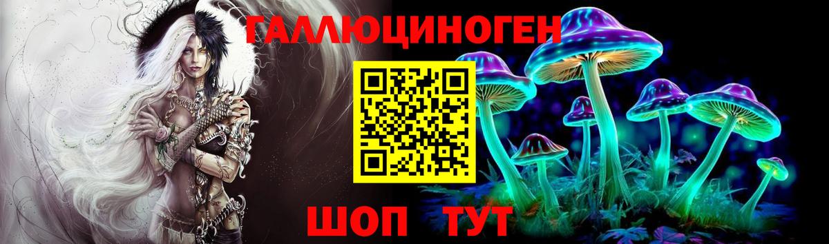 Псилоцибиновые грибы Psilocybine cubensis  Гусев 